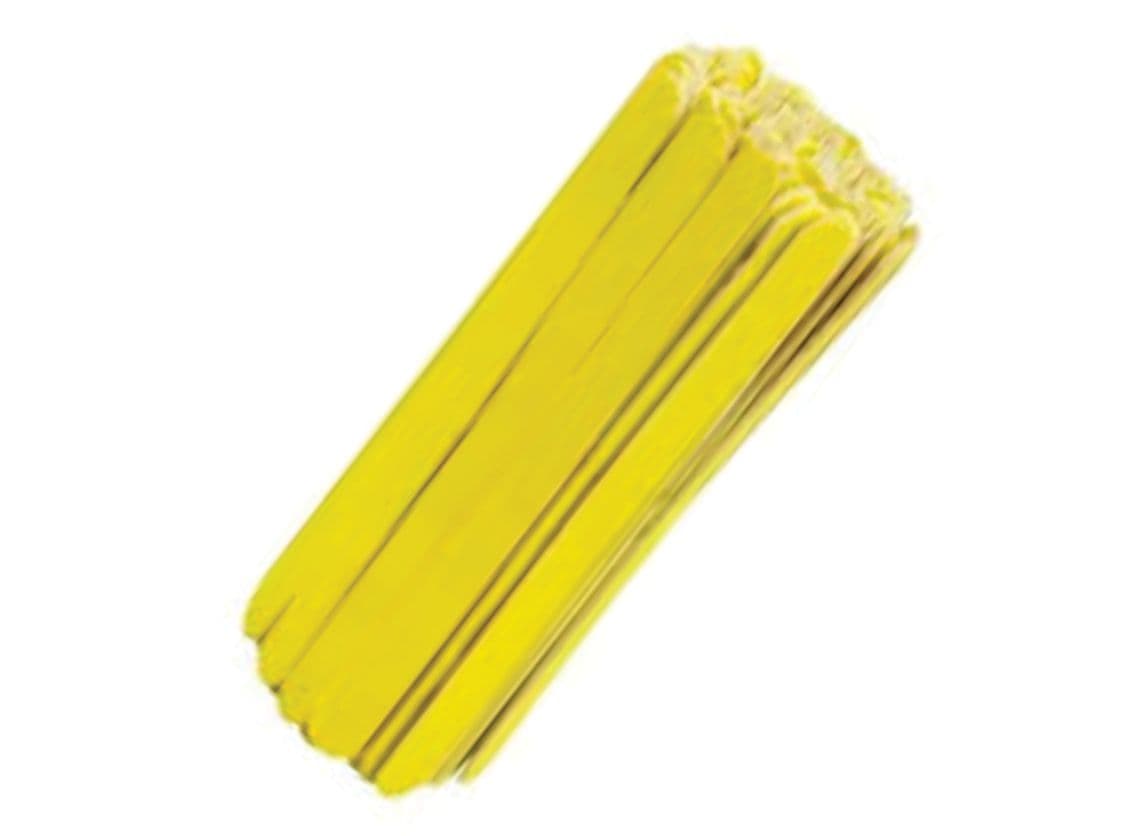 LIXA CANARIO 16CM PCT 100UN